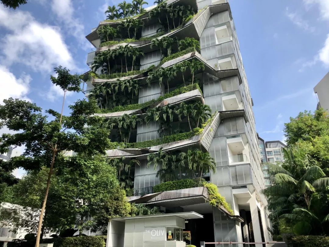 新加坡Blossom Residences生态住宅景观-居住区案例-筑龙园林景观论坛