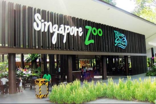 最走心獅城行走攻略整理:如果你愛一人遊,新加坡絕對適合你!